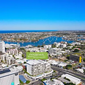 Pandanus **** Mooloolaba